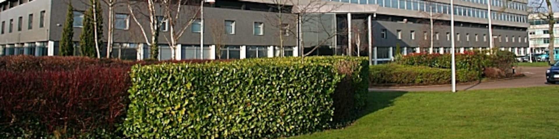 10 Best Auto Detailers Near Redbridge Neighborhoods