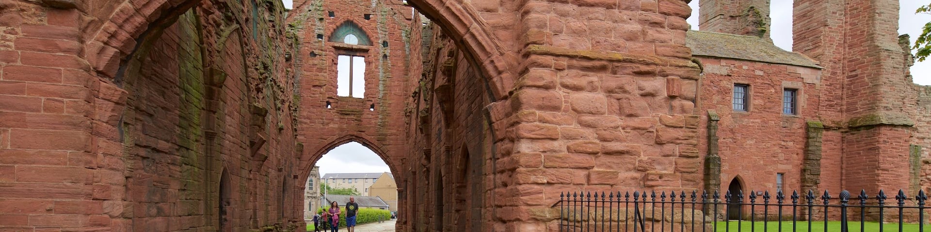 10 Best Dog Walks Near Arbroath Neighborhoods