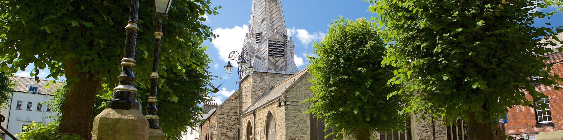 10 Best Dog Walks Near Barnstaple Neighborhoods