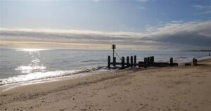 10 Best Car Window Services Near Suffolk Coastal Neighborhoods