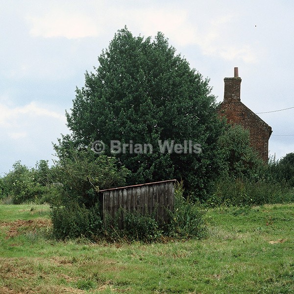 10 Best Head Spas Near South Norfolk Neighborhoods