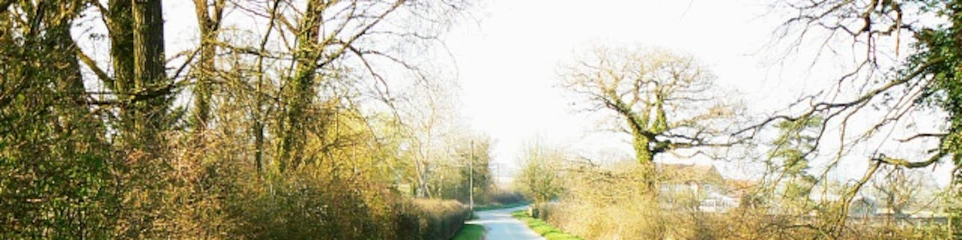 10 Best Auto Detailers Near Malmesbury Neighborhoods