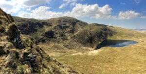 10 Best Window Tinting Services Near Powys Neighborhoods