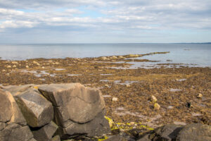 10 Best Caravan Storage Near Carrickfergus Neighborhoods