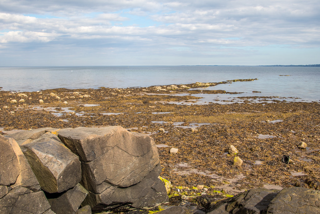 10 Best Window Tinting Services Near Carrickfergus Neighborhoods