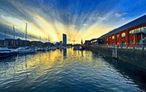 10 Best Dog Walks Near Swansea Neighborhoods