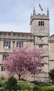 10 Best Window Tinting Services Near Shrewsbury Neighborhoods