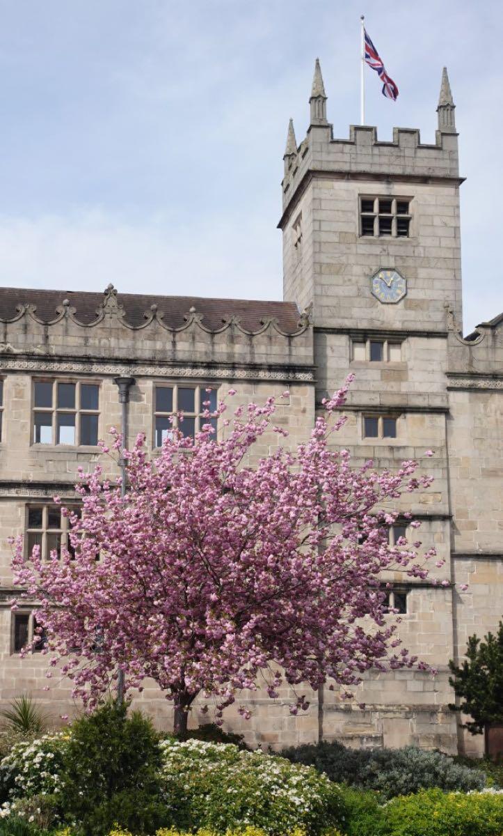 10 Best Dog Walks Near Shrewsbury Neighborhoods