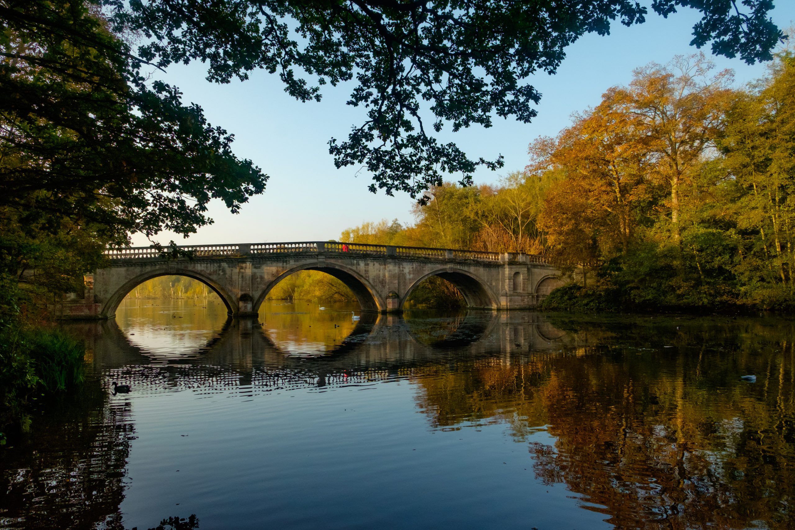 10 Best Eyebrow Waxing Near Bassetlaw Neighborhoods