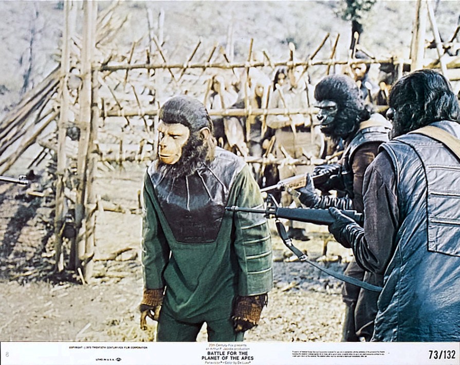 10 Best Japanese Head Spa Near Battle Neighborhoods