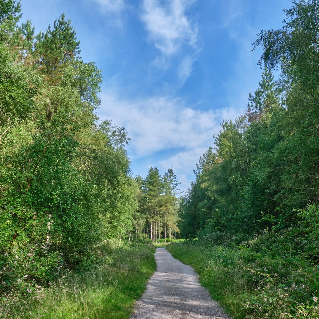 10 Best Pubs with Play Areas Near Cannock Chase Neighborhoods