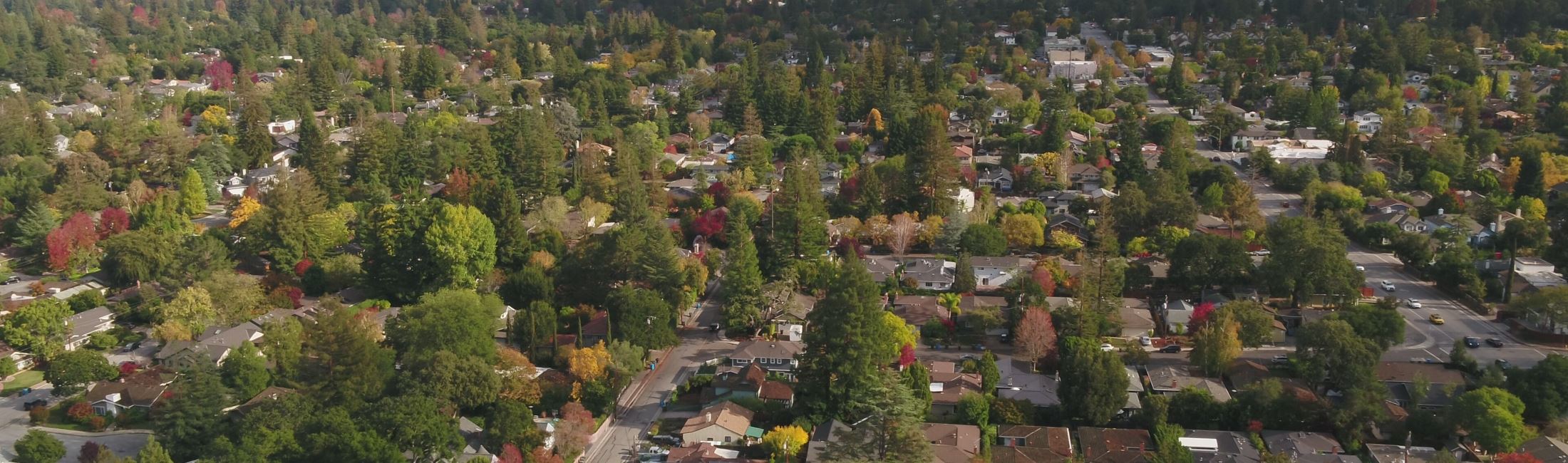 10 Best Dog Walks Near Atherton Neighborhoods