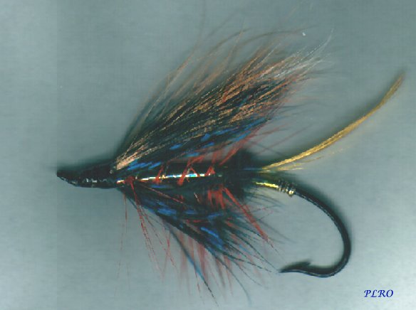 10 Best Window Tinting Services Near Dunkeld Neighborhoods