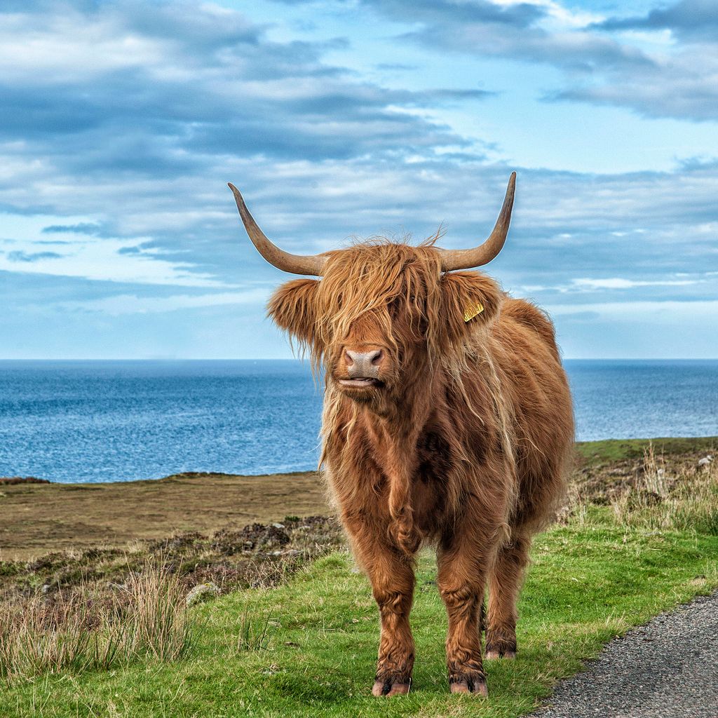 10 Best Caravan Storage Near Highland Neighborhoods