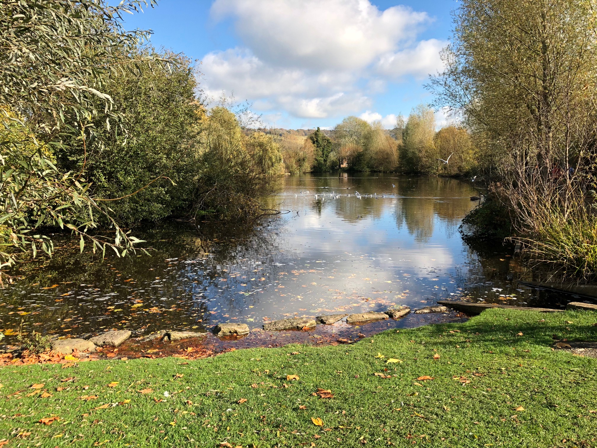 10 Best Head Spas Near Mole Valley Neighborhoods