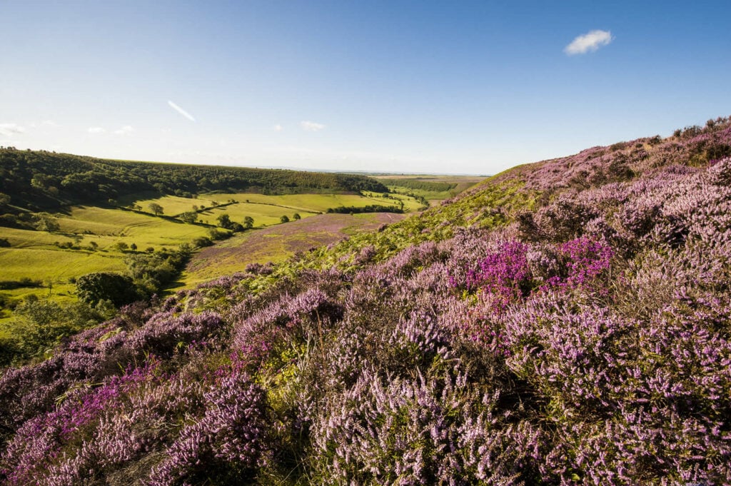 10 Best Window Tinting Services Near North Yorkshire Neighborhoods