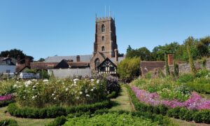 10 Best Japanese Head Spa Near Dunster Neighborhoods