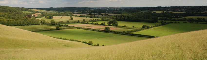 10 Best Dog Walks Near South Oxfordshire Neighborhoods