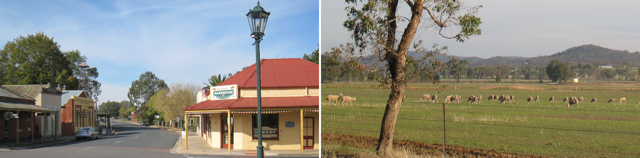 10 Best Window Tinting Services Near Chiltern Neighborhoods