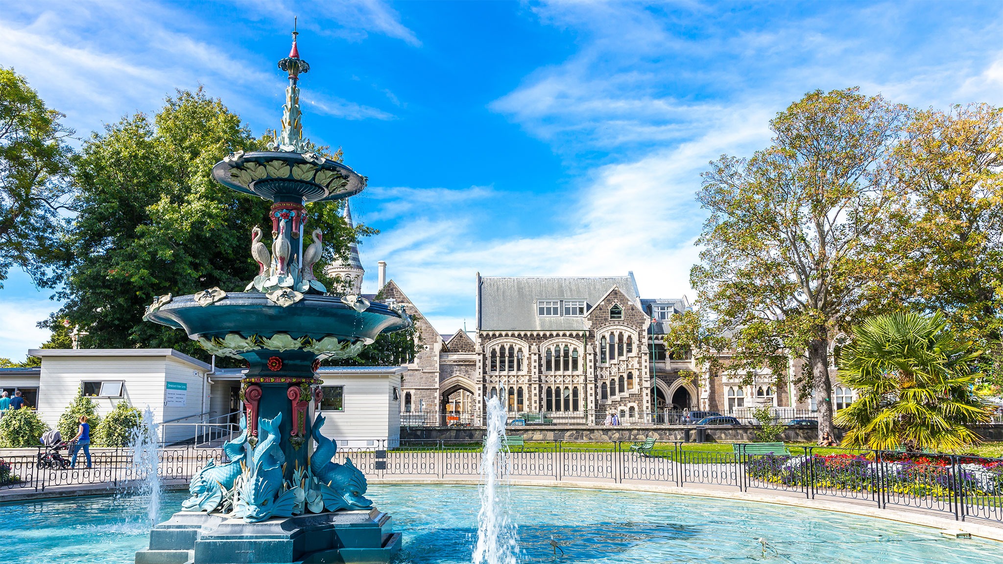 10 Best Dog Walks Near Christchurch Neighborhoods