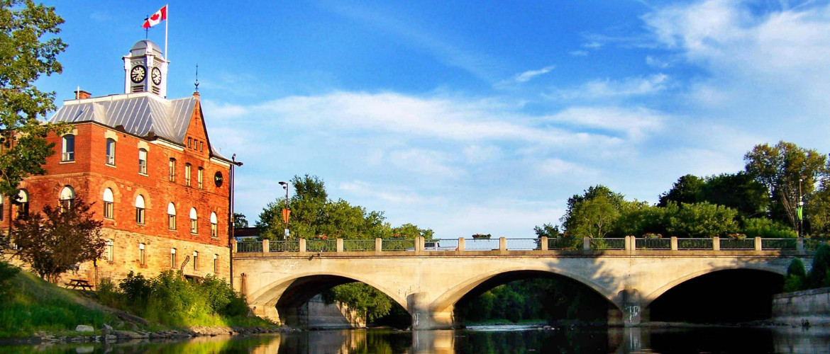 10 Best Dog Walks Near Pembroke Neighborhoods