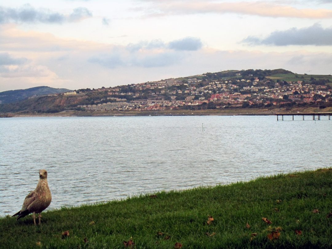 10 Best Auto Detailers Near Colwyn Bay Neighborhoods