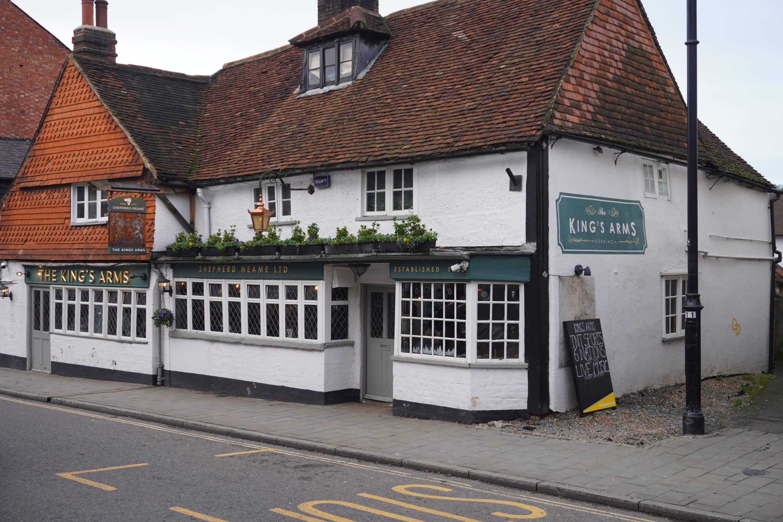 10 Best Dog Walks Near Dorking Neighborhoods