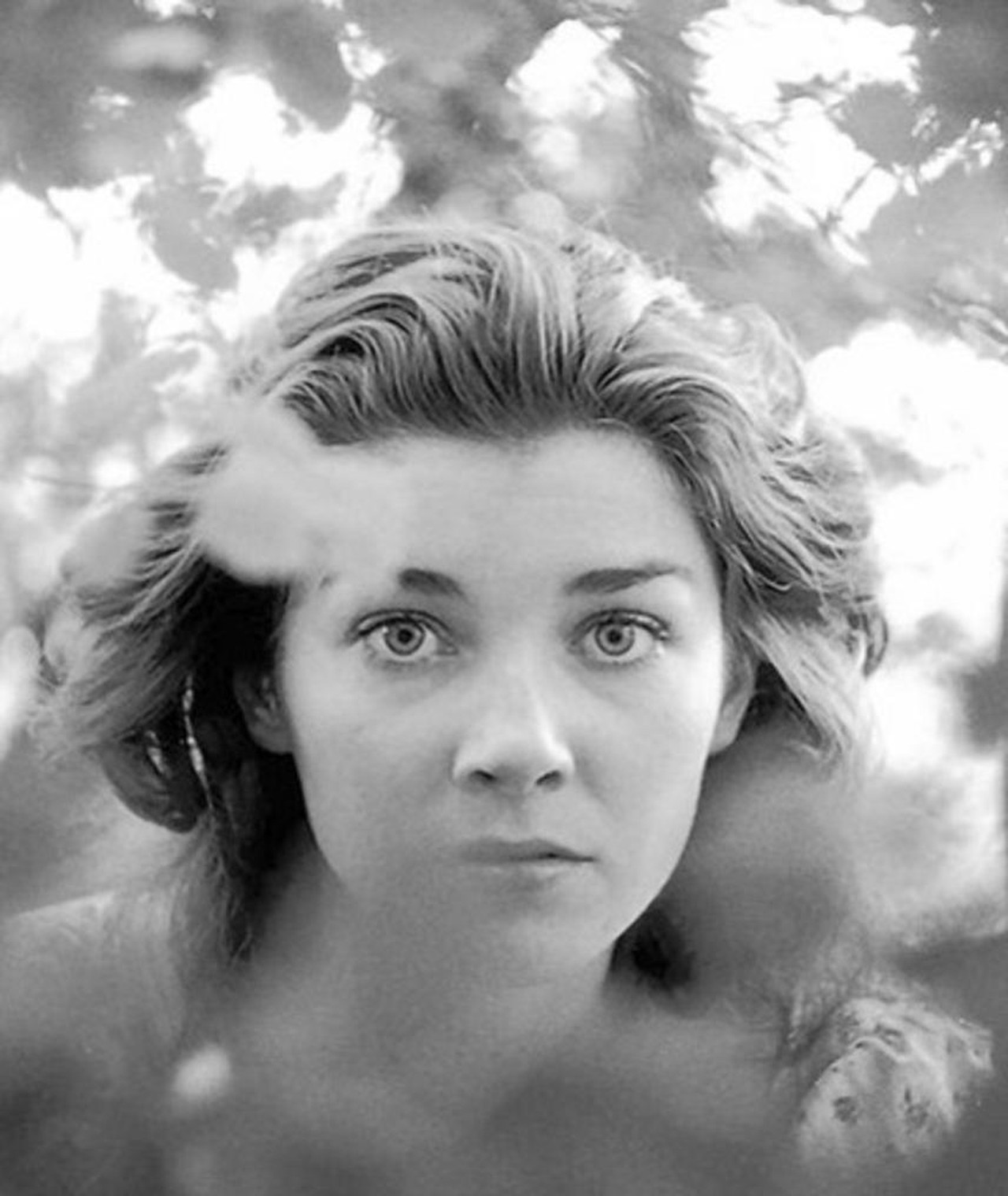 10 Best Window Tinting Services Near Leith Neighborhoods