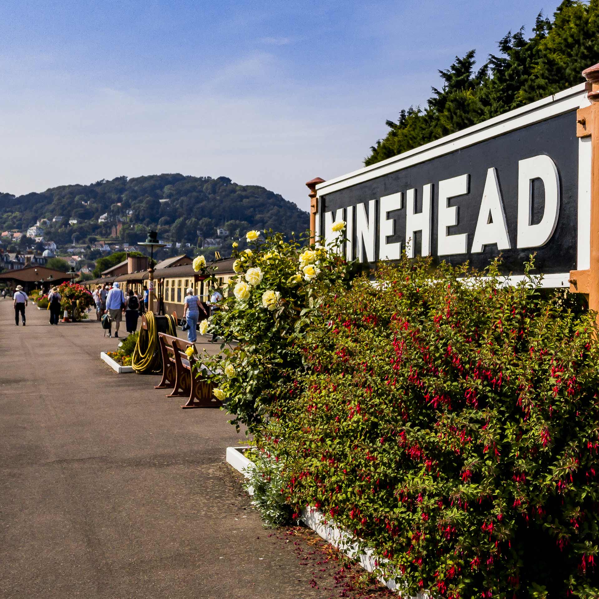 10 Best Head Spas Near Minehead Neighborhoods