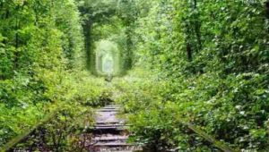 10 Best Auto Detailers Near South Staffordshire Neighborhoods