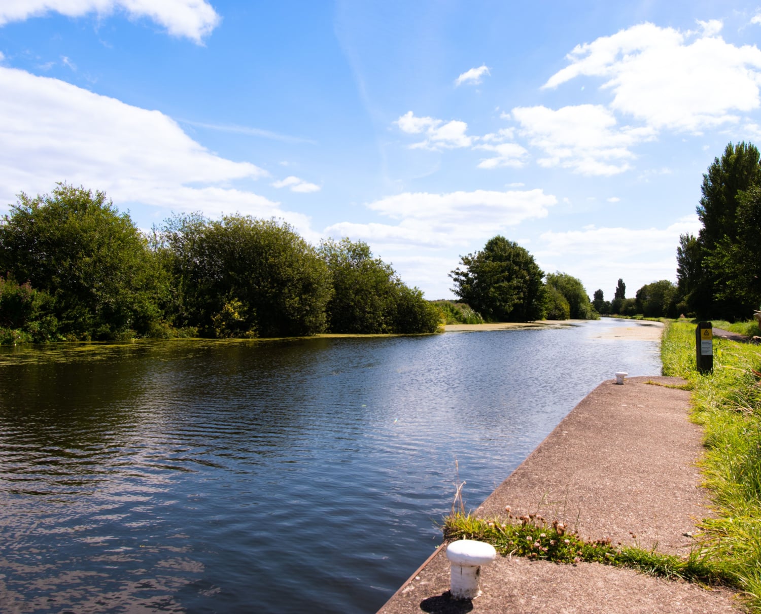 10 Best Dog Walks Near South Yorkshire Neighborhoods